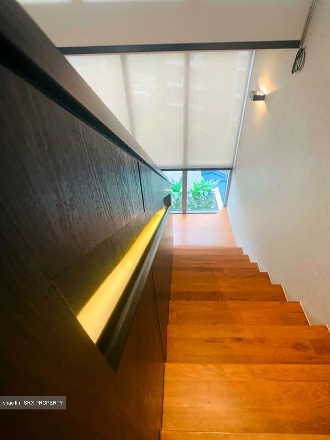 Mon Jervois (D10), Condominium #602049201